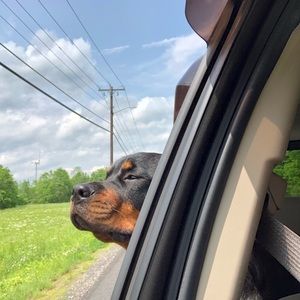 Meet your Posher, Cheryl